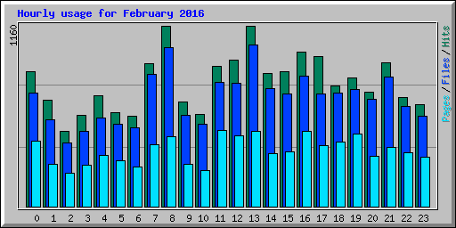 Hourly usage for February 2016